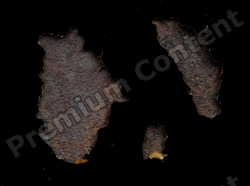 Rusted Decals